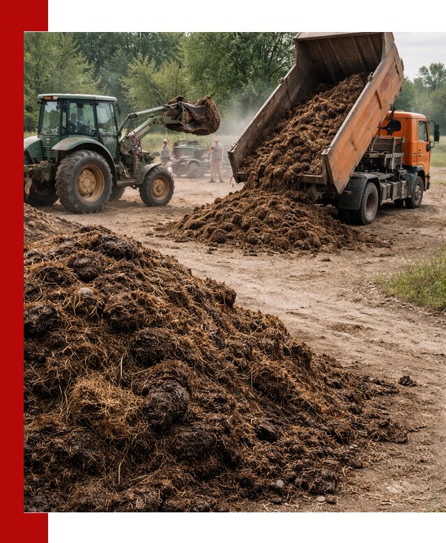 Доставка навоза самосвалами в Самаре для сельхозпотребностей